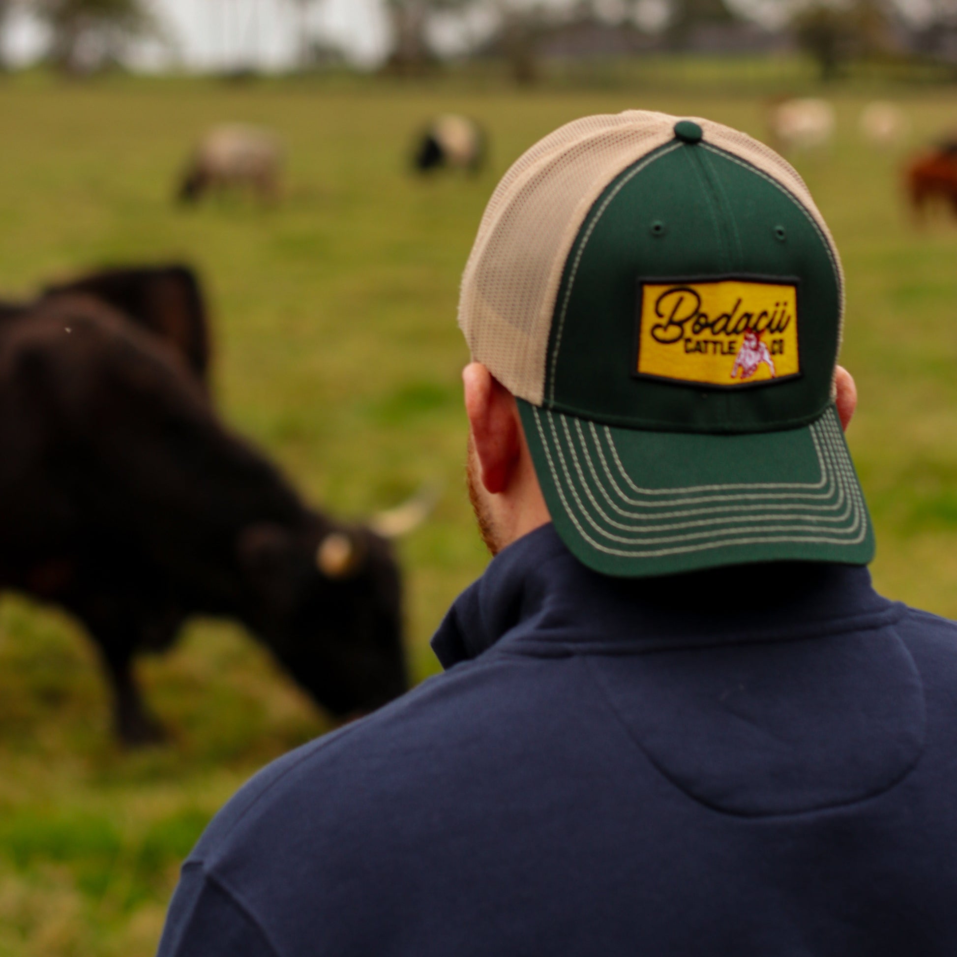 western trucker cap worn by cowboy standing in field of cattle