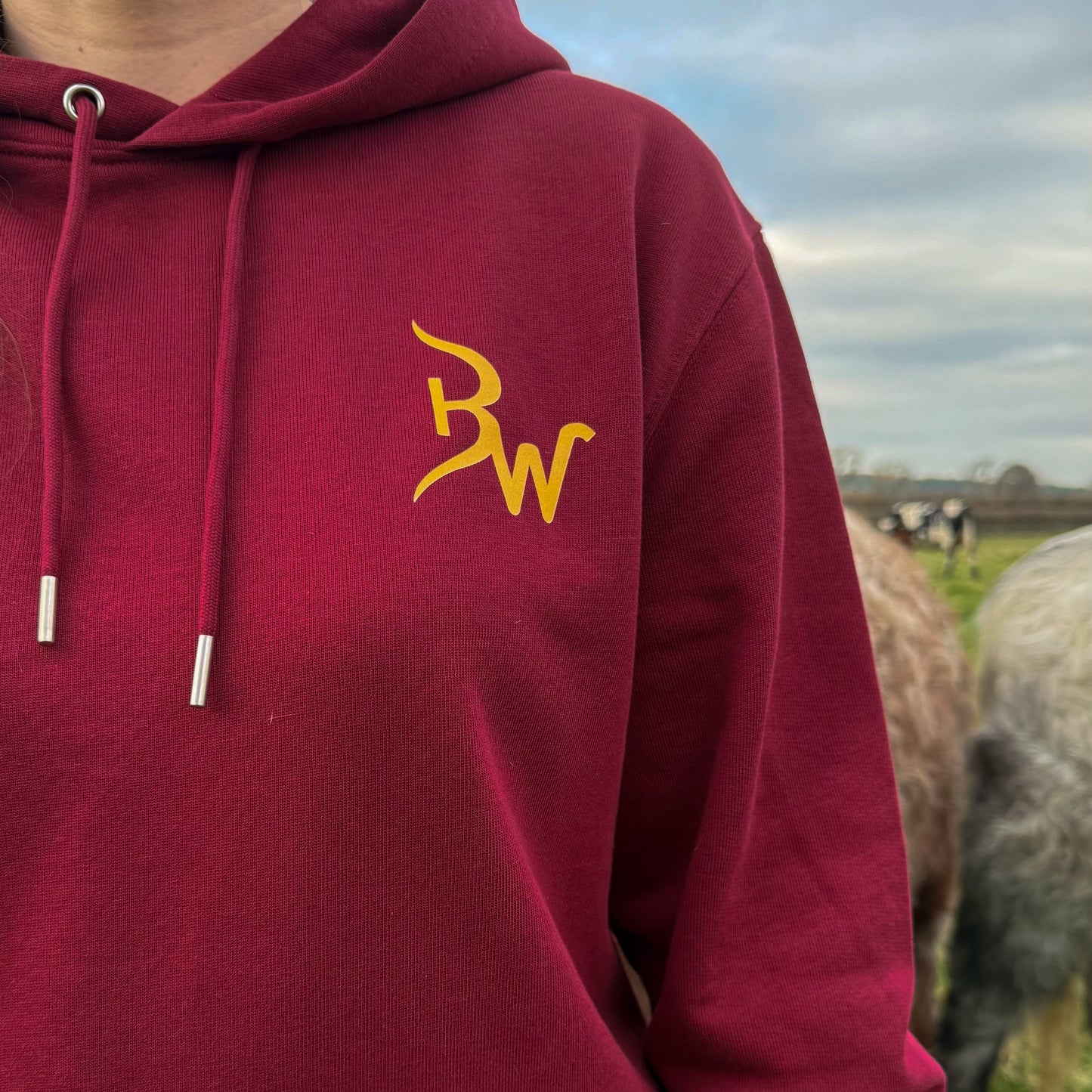 Keep On Kicking Hoodie - Burgundy